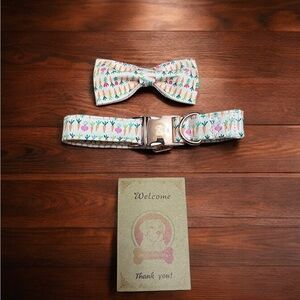 Mr. Chubbyface colorful carrot collar and tie